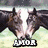 Four horse images arranged in a with text labels beneath each, showing different poses and angles of horses in a grassy field