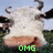 A cow's face with green text reading "OMG ITS A COW" appears in a of four , each showing the same image but with different text overlays