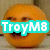Pixelated orange circular face with brown eyes and black mouth, overlaid by cyan rectangular banner with white text 'TroyM8'.