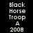 Pixelated text 'Black Horse Troop A 2008' displayed across four distinct background color variations in a