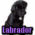 Six dog breed icons arranged in a with purple text labels, each showing distinct breeds and one heart-shaped paw print icon
