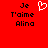Red background with black pixelated text 'Je T'aime Alina' on both sides and a white heart symbol in the center.