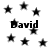Black star shapes and the text 'David' repeated across a white background in a static pattern.
