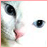 iconhell_l0ki_zer0_meowcat_l0ki_zer0