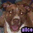 Pixelated dog faces and a red heart with text labels in a