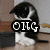 A black-and-white cat sits on a wooden floor with a laptop, its head bowed as text overlays change across frames.