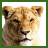 iconhell_usa0chic_aim116