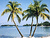 Two palm trees with green fronds and brown trunks stand on a beach against a blue sky, rendered in pixelated style.