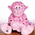 A pixelated pink plush toy with red and purple spots sits on a brown surface against a white background, next to a purple with text