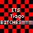 Red and black checkered background with repeated text "ITS Tiago BITCHES!!!!!!" in white pixelated font across four identical sections.