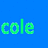 pixelated images with text overlays: blue background with green 'cole', purple with cyan 'and', black with cyan 'are...', yellow with red 'hot', and a central bright green square with pink 'Dylan'