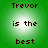 Green background with four identical pixelated text arranged in a , each displaying 'Trevor is the best' in brown lettering