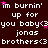 Pixelated text repeats 'im burnin' up for you baby<3 jonas brothers<3' with pink stars on a dark brown background.