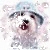 A small dog with white fur and a light blue cap appears in three showing mouth movements