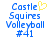 Blue pixelated text reads 'Castle Squires Volleyball #41' with a yellow heart symbol replacing the letter 'e' in 'Castle', displayed on white background.