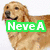 A four- shows dogs with overlaid text: green 'Neve A', purple 'Loves', red 'Dogs!!!' on a gray