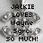 Pixelated static image with black text reading "JACKIE LOVES Wayne Sgroi SO MUCH!" over a gray background featuring indistinct shapes.