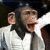 Pixelated monkey face with open mouth, wearing white shirt and dark tie against dark background.
