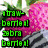 Pixelated image with green text 'straw-bambo! zebra bambo!' and blue text 'watermelon is my bestfriend' over fruit and animal imagery.