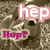 A pixelated dog with a white patch on its head appears in four quadrants, each with different text overlays.