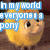 A yellow cartoon chicken with large eyes and a small beak appears in three , each displaying different text overlays