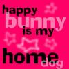 Static pink buddy icon with layered text and star shapes, featuring the phrase "happy bunny is my home dog" in mixed fonts and colors against a solid background.