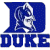 Static pixelated icon featuring a blue 'D' with a white mascot figure inside and the word 'DUKE' in bold blue letters below, all on a transparent background.