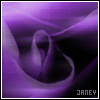 Purple gradient background with flowing fabric-like shapes and the text 'JANEY' in pixelated font at bottom right.