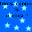 Blue background with light blue stars and repeated black text reading 'tanis connotanis conno is a cock !'