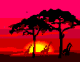 Animated sequence of silhouetted acacia trees and giraffes against a gradient sunset sky with pink, red, and orange hues.