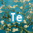 A digital artwork with blue background and white text reading "Te Quiero Tu Mucho" alongside a heart symbol.