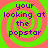 Four identical display a green and pink spiral background with purple text reading 'your looking at the popstar' in a pixelated font