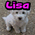 four pixelated animal images with pink 'Lisa' text overlays on each