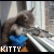 Animated contact sheet showing six frames of a pixelated cat icon with text and heart symbols changing across frames.