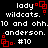Static pixel art displays repeated text and red square icons on black background.
