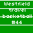 Green background with white text displaying 'westfield', 'travel', 'basketball', and '#44' in a , showing animation changes between frames