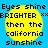 A static digital image with four identical yellow circular shapes on a blue background, each containing pixelated text.