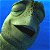 A pixelated animated buddy icon featuring a mummy character from Finding Nemo on the left and green text reading "Original Icons .com" on a dark green background on the right, displayed as a 2-frame contact sheet with blue and dark green backgrounds respectively.