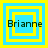 Four variations of a pixelated blue and yellow square icon with the text 'Brianne' displayed in black, each showing different nested square arrangements.
