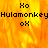 Pixelated orange flame background with black text 'Xo', 'Hulamonkey', and 'oX' arranged in a pattern