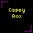 Yellow text 'Casey Rox' appears on black background with purple star-shaped pixel art elements scattered around.