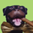 Pixelated image of a dark-furred dog with pink tongue, holding a brown stick against light green background.