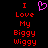 Static pixel art displays red text 'I Love My Biggy Wiggy' with a pink heart symbol on black background.