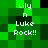 Green pixelated background with white text reading "Lily n Luke Rock!!" in four identical positions, each with a black square in the top-left corner