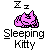 Pixelated pink cat with closed eyes and 'Zz' above head, labeled 'Sleeping Kitty' in blocky text on gray background.