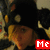 A person wearing a black helmet with white and yellow circular details, with a red square containing white text 'Me' overlaid on the image.