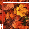 Autumn leaves in warm orange and yellow tones with a central maple leaf, bordered by red frame elements.