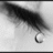 Black-and-white image of a teardrop on eyelashes with red pixelated text reading "Don't cry For me I'm just The girl That cries..." and "For You".