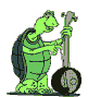 Green cartoon turtle plays a banjo in multiple poses with varying expressions and instrument positions