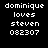 Four pixelated text display 'dominique loves steven 082307' in white on black, purple, pink, and dark purple backgrounds